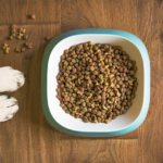 dog-food-5168940_640