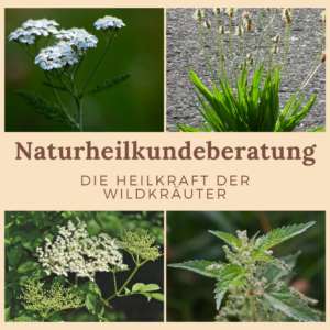Read more about the article Naturheilkundeberatung