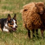 AdobeStock_96454313-min