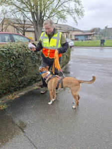Mehr über den Artikel erfahren 🐾 Mantrailing für Anfänger – So startest du richtig in Kirchheim unter Teck