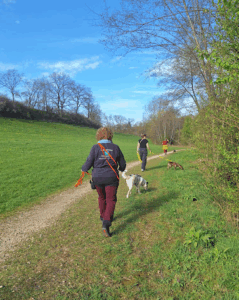 Mehr über den Artikel erfahren 🐾 Social Walk Kirchheim unter Teck