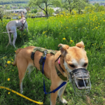 Amaya und Lenny
