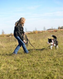 Individuelles Jagdersatztraining mit Hund