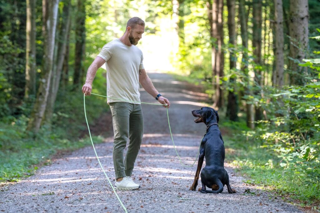 Hund trainiert mit seiner Halter an der Schleppleine auf dem Waldweg