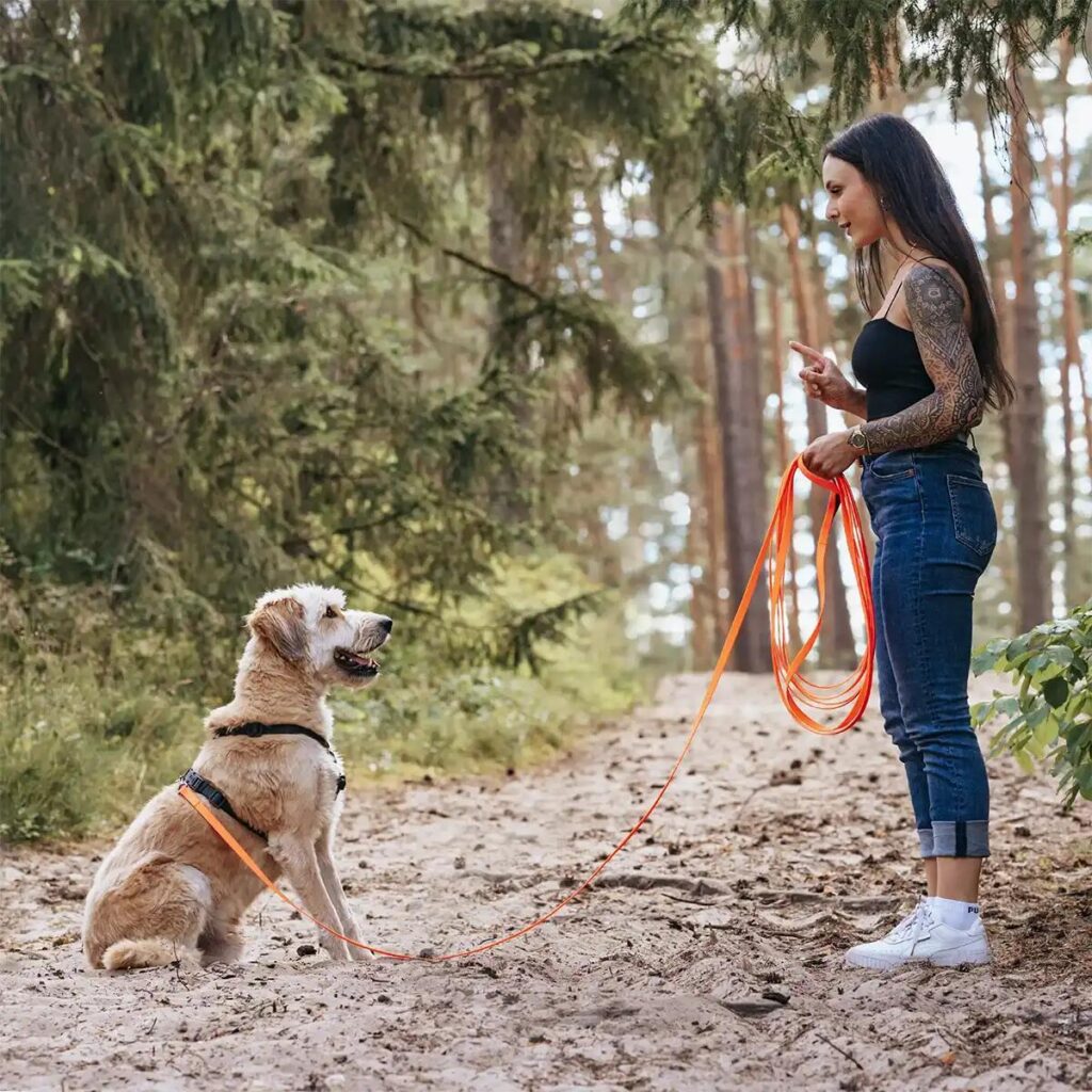 Hundetraining mit Schleppleine beim Jagdersatztraining
